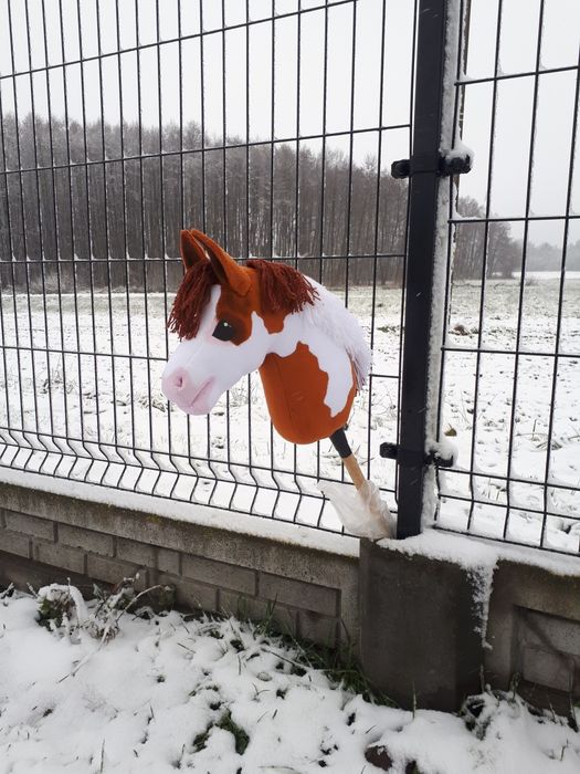 Hobby horse z kijem