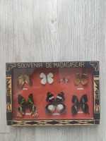 Тропические бабочки в рамке/Картина/Сувенир из Мадагаскара