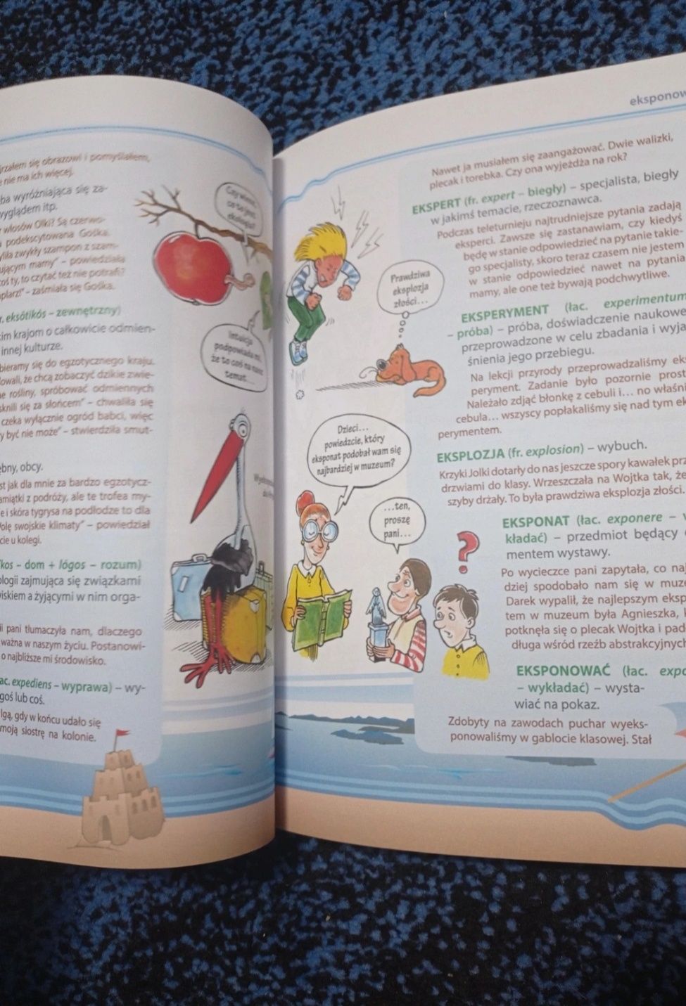 Książka " Ilustrowany słownik wyrazów obcych" nauka edukacja