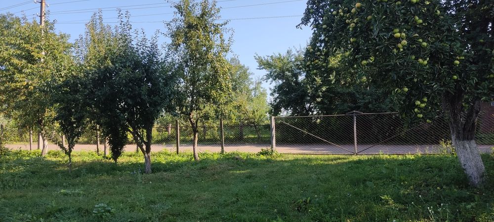 Дім/будинок/хата в с. Літки (біля м. Деражня)