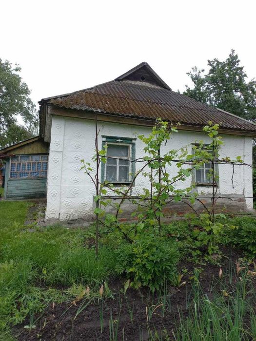 Продам будинок в селі Хитці ( 18 соток )