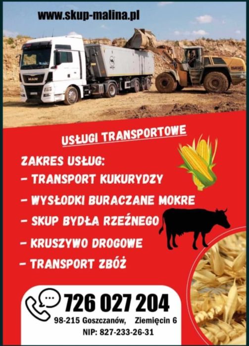 Usługi Transportowe