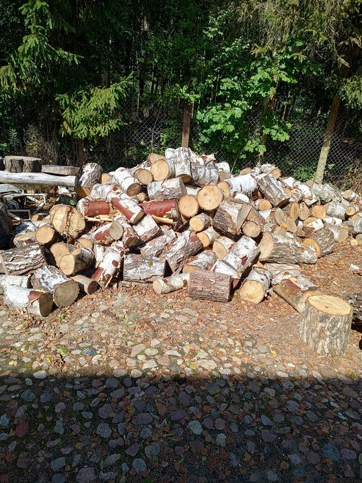 BRZOZA sucha drewno opałowe kominkowe ognisko survival