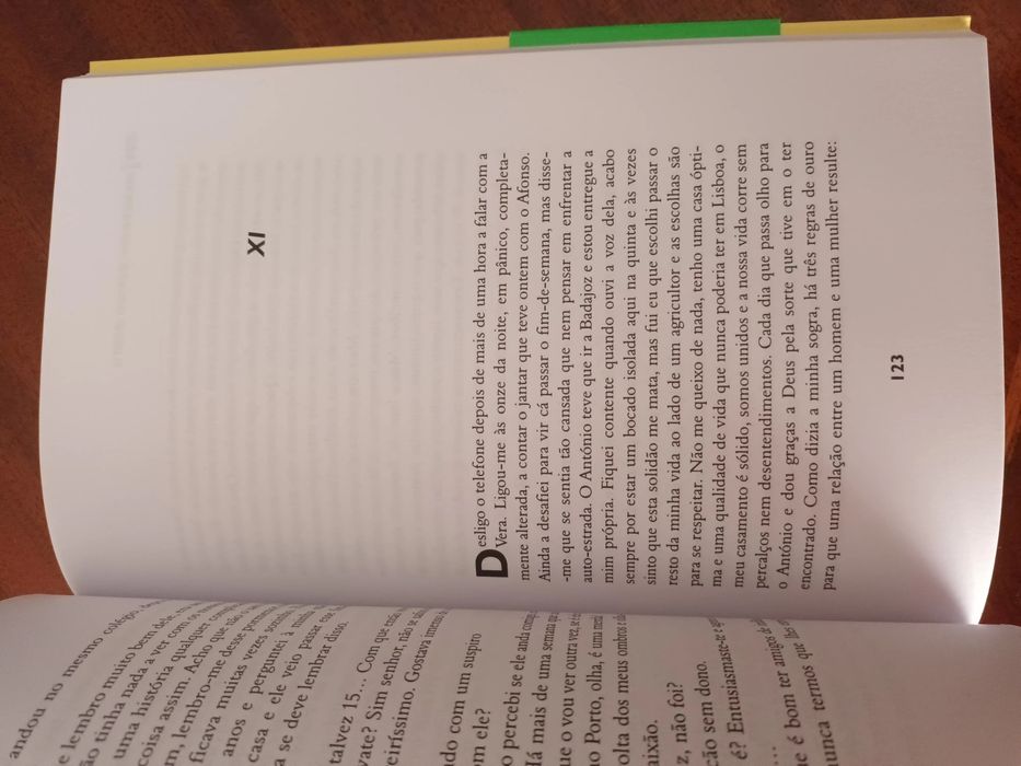 Não há coincidências - Margarida Rebelo Pinto