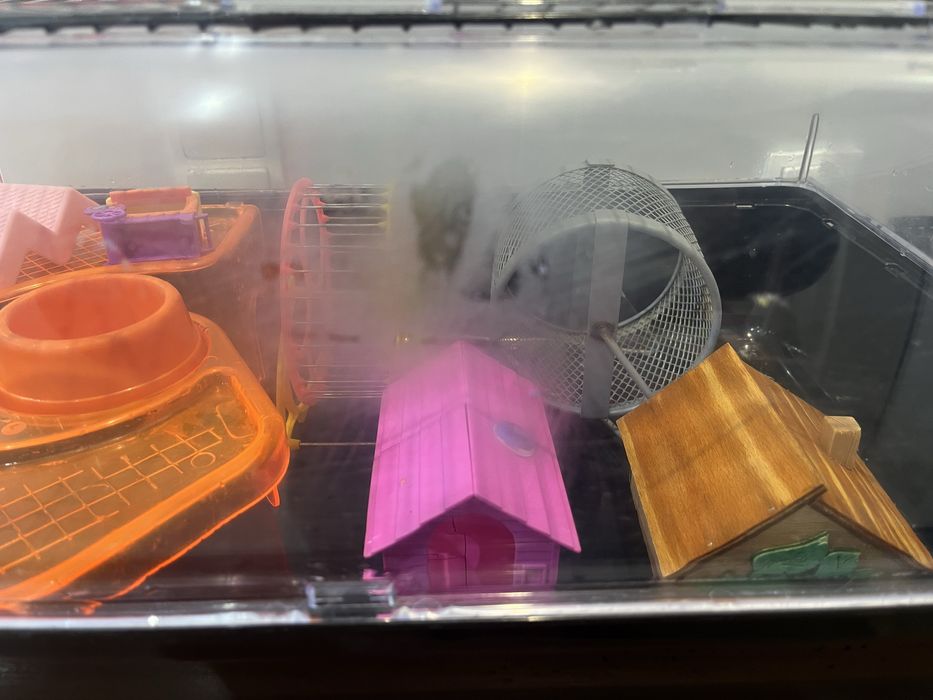 Dom dla gryzonia z akcesoriami