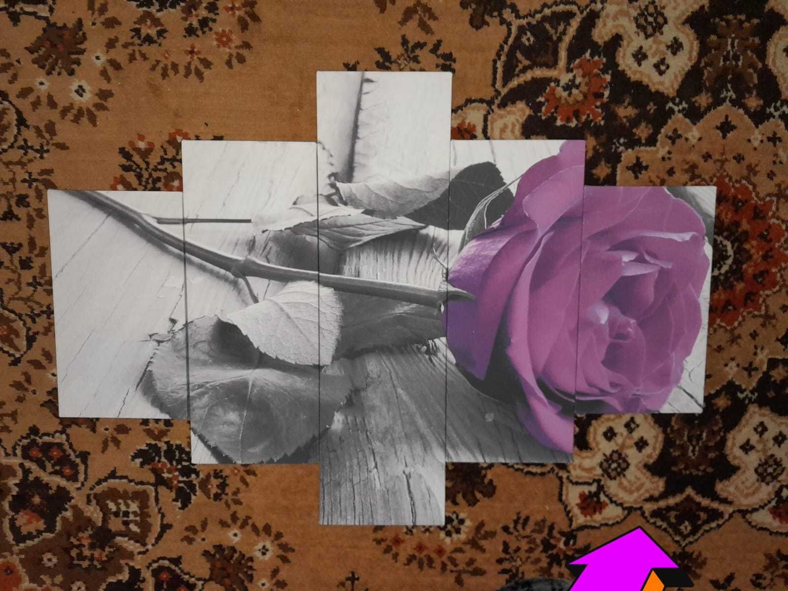 Obraz "Róża" - zestaw 5 sztuk
