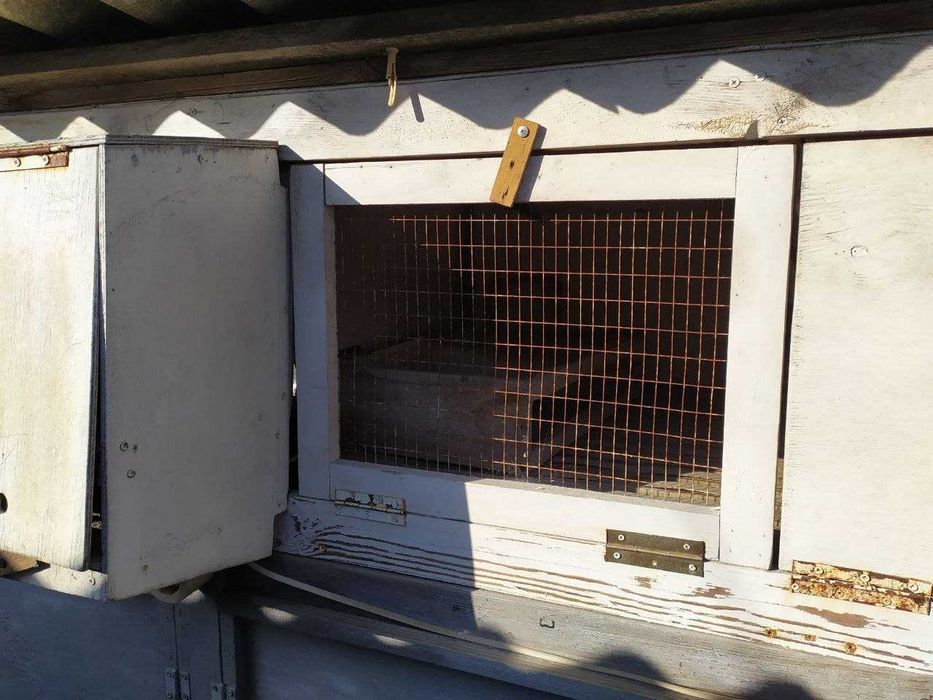 Клетки для кроликов-акселератов по методу Михайлова