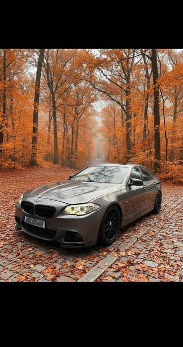 BMW Seria 5 BMW f10 523i