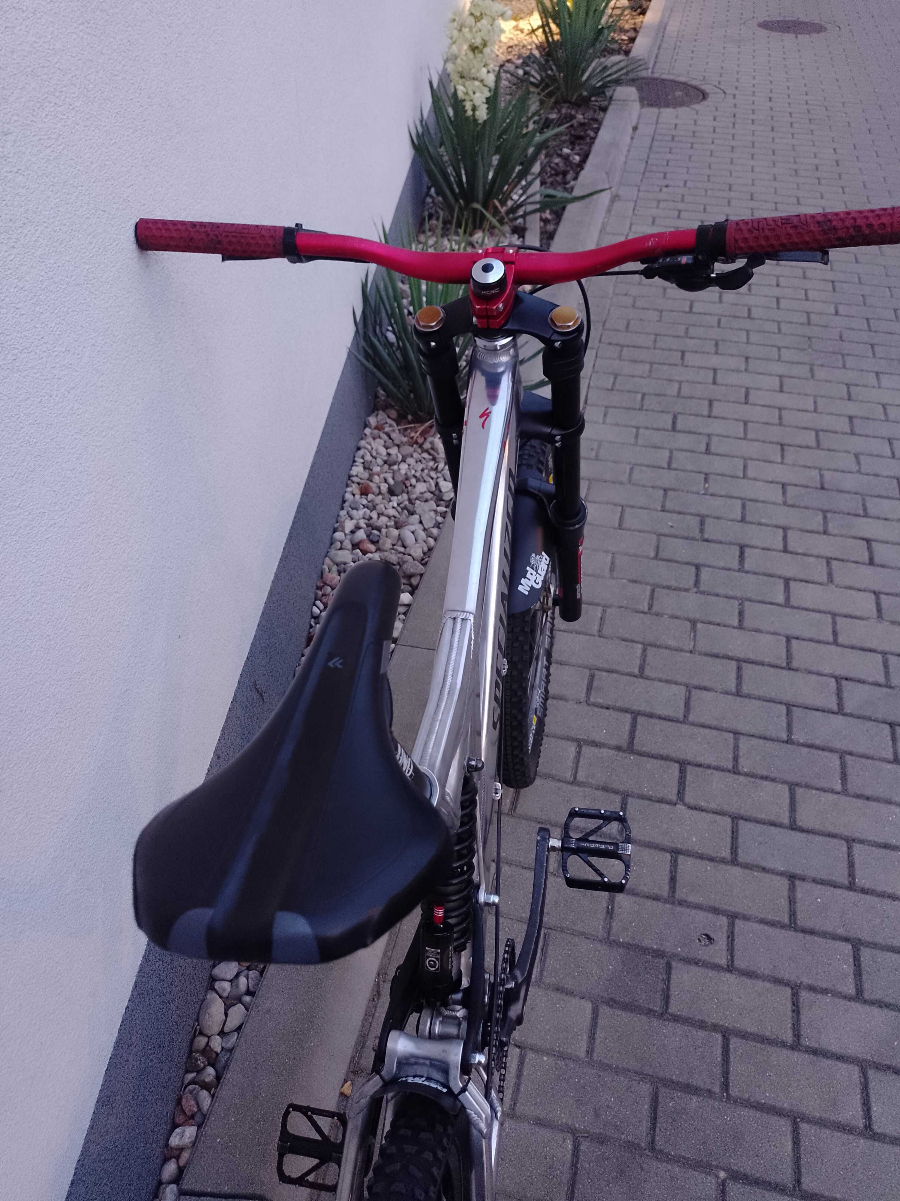 Specialized Big Hit DH
