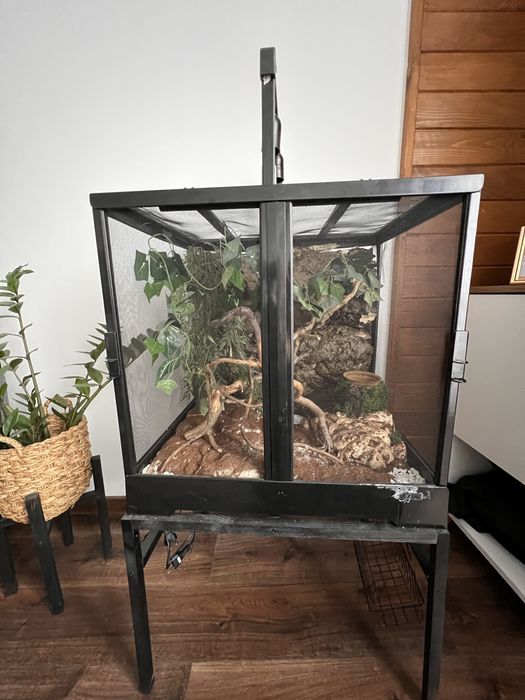 ExoTerra terrarium