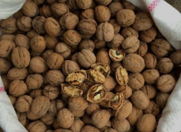 ПРОДАМ Горіх свіжий цьогорічний