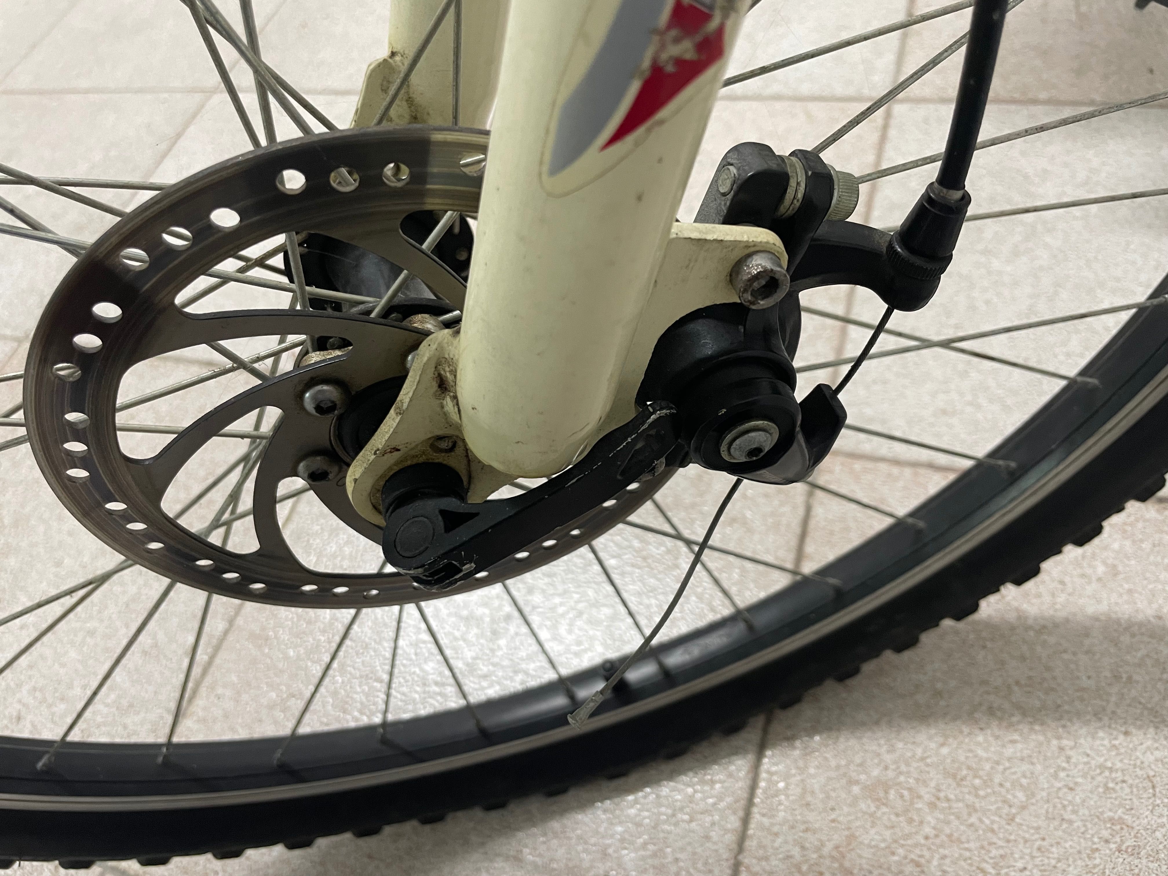 Bicicleta de montanha