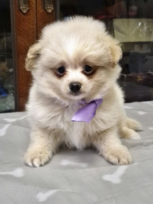 Помапу мальчик и девочка