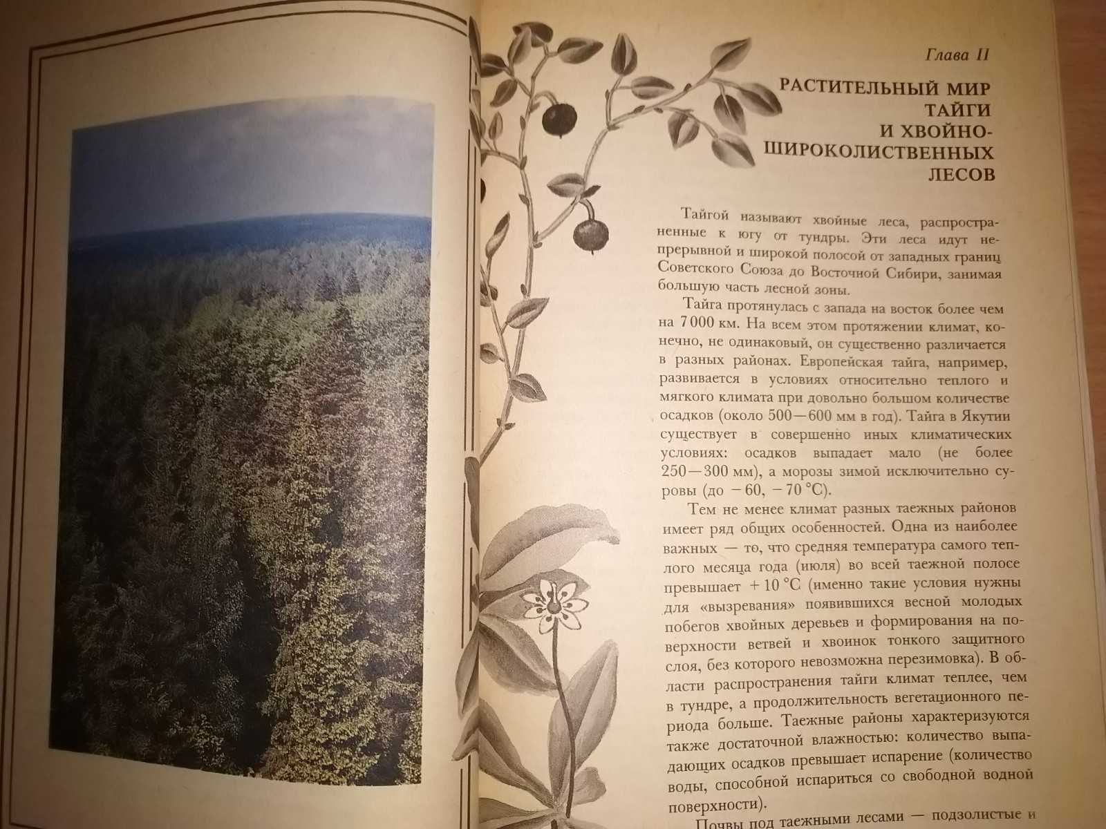 В. Петров. Растительный мир нашей Родины. Книга для учителя