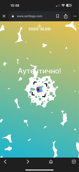 Худи Stone island оригинал