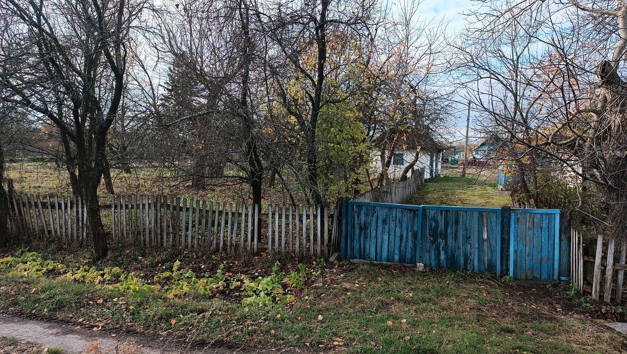 Продам земельну ділянку в с.Оліївка зі старим будинком