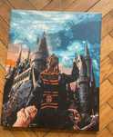 Obraz Harry Potter zgredek hogwart niebieski