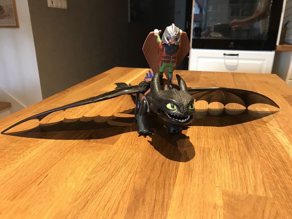 Playmobil Jak wytresowac smoka -szczerbatek