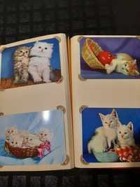 Коллекции открыток котов