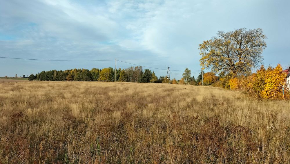 Zamieszkaj blisko jeziora i lasu – działka we Wielu z WZ