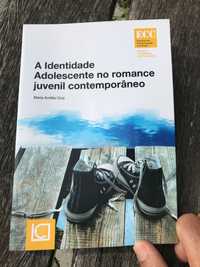 Livro- Identidade Adolescente Romance Juvenil Contemporâneo Maria Cruz