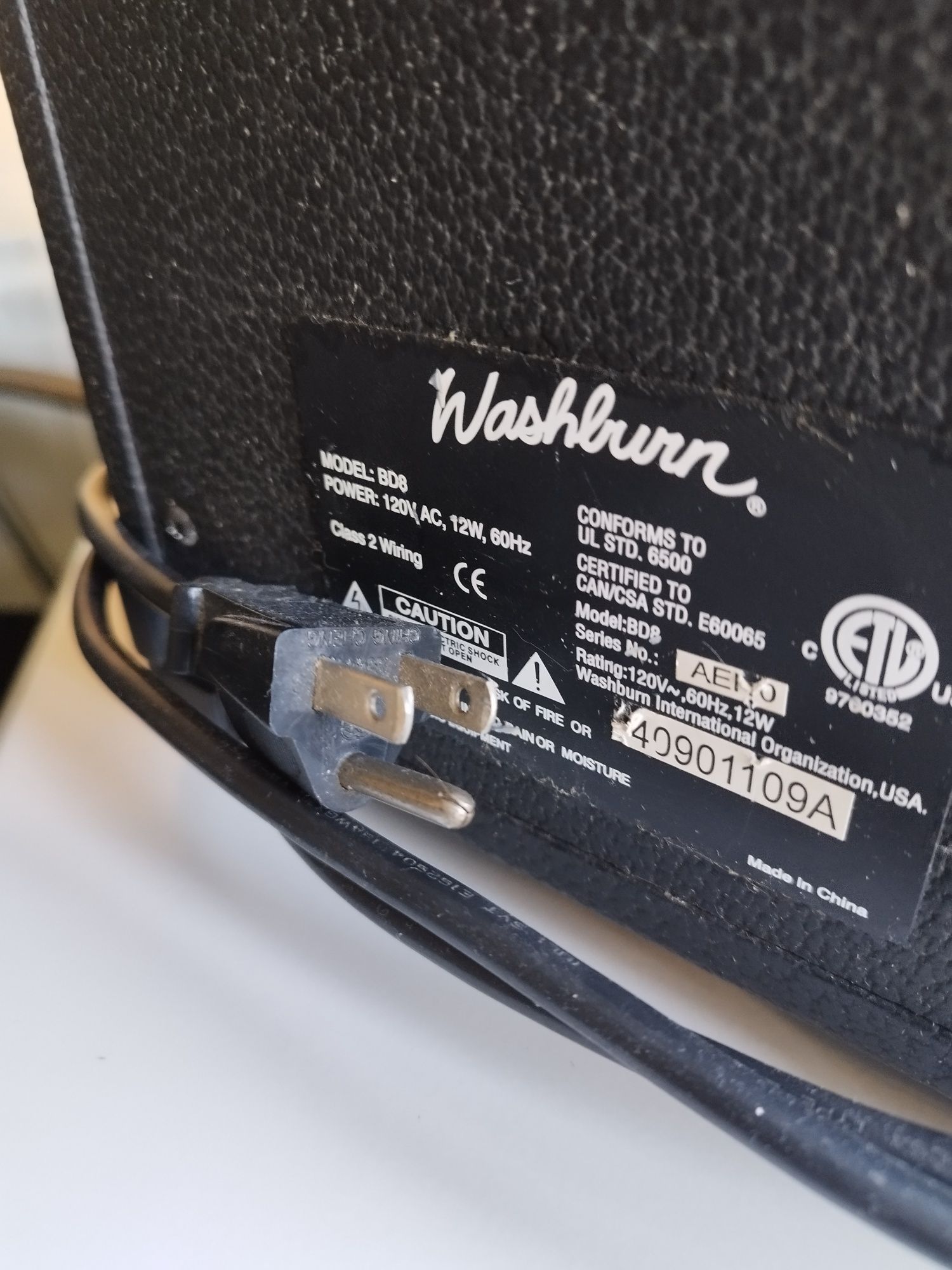 Amplificador Washburn 110vac