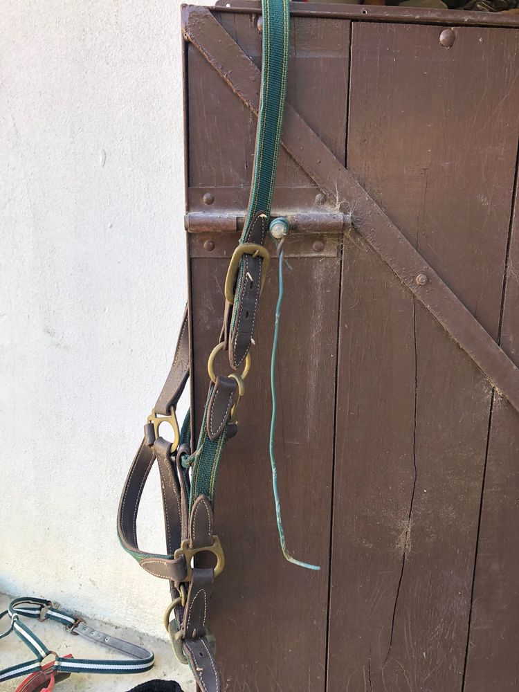 Equipamento de  Equitação