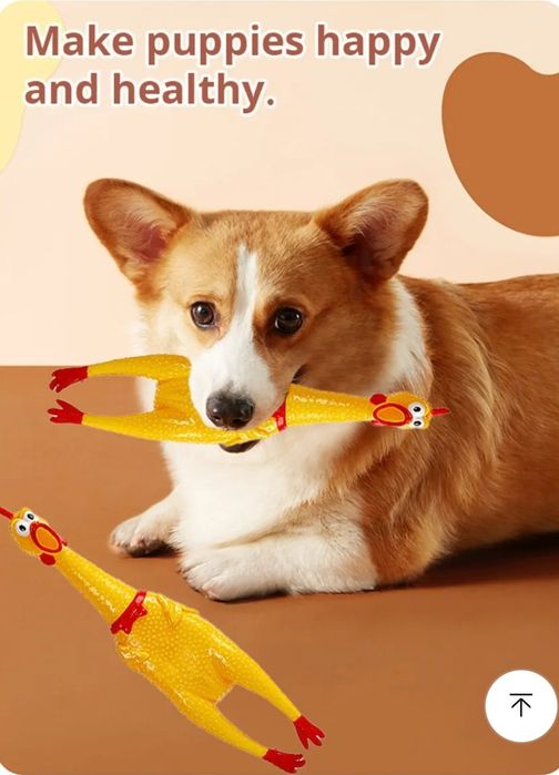 Игрушка для собак-кричащий петух 33см