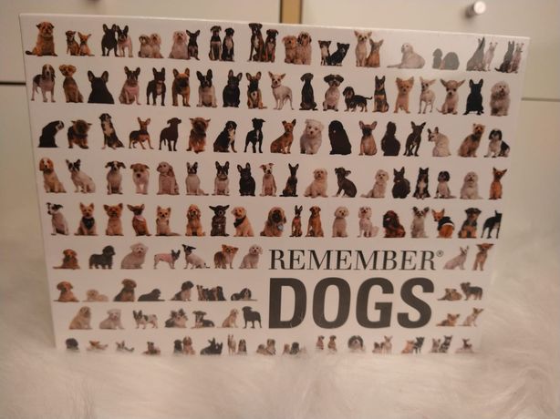 Remember dogs gra memory