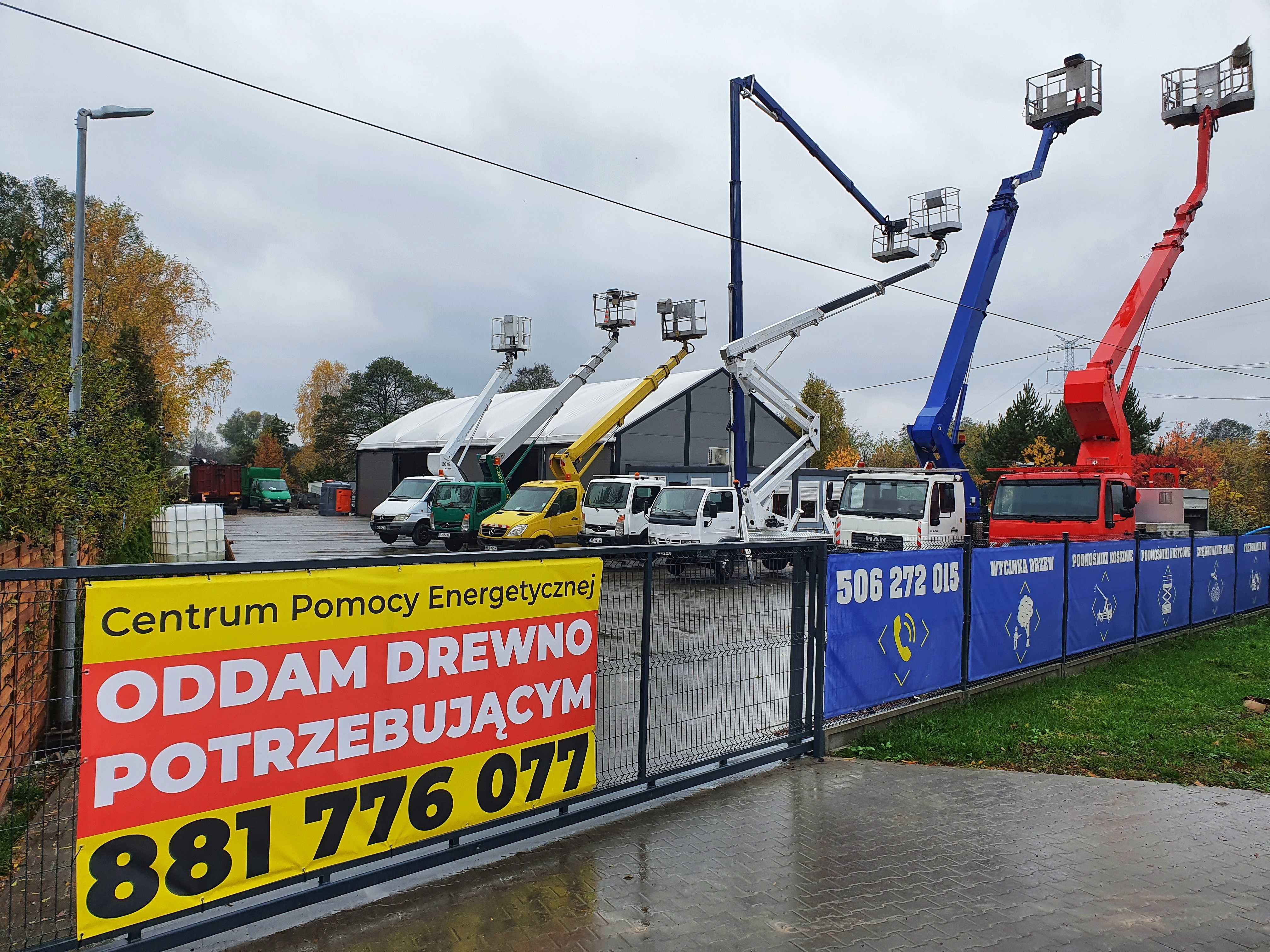 Wycinka drzew, przycinanie drzew, alpinistycznie / z podnośnika