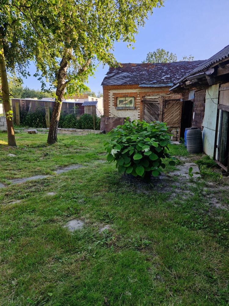 Siedlisko blisko miasta 24 a