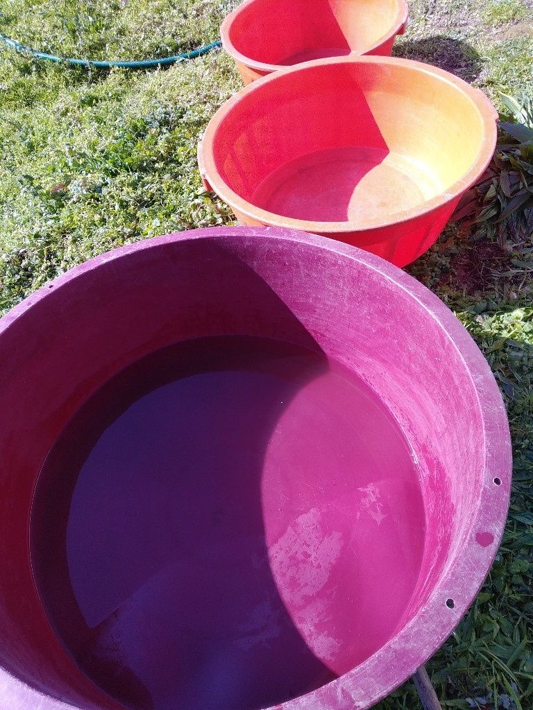 Dorna de plastico