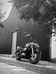 Suzuki intruder vl400