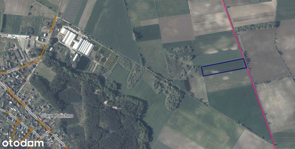 Na sprzedaż działka rolna – Stare Polichno, gm. Santok 1,39ha