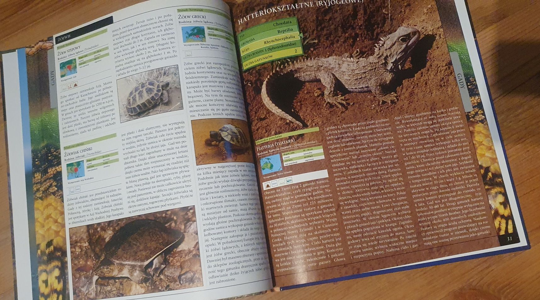Encyklopedia zwierząt Gady