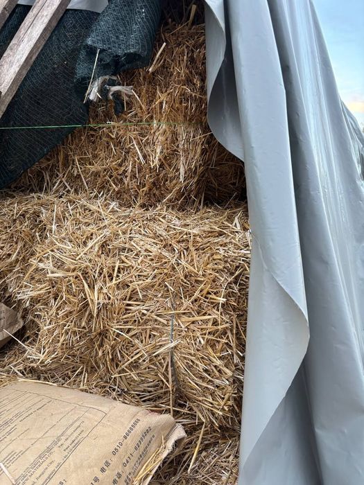 Продам солому в тюках
