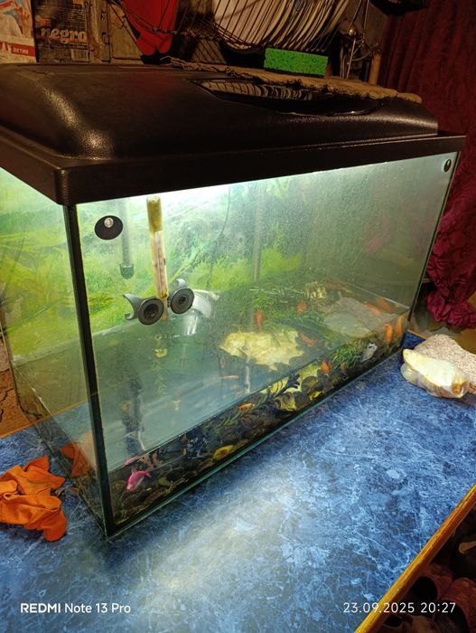 Продам аквариум отошло стекло 120 л.можно как террариум или подремонт