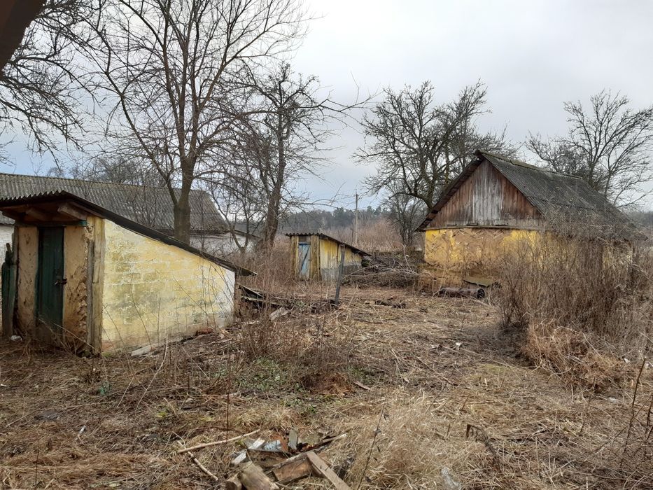 Будинок в Батурині