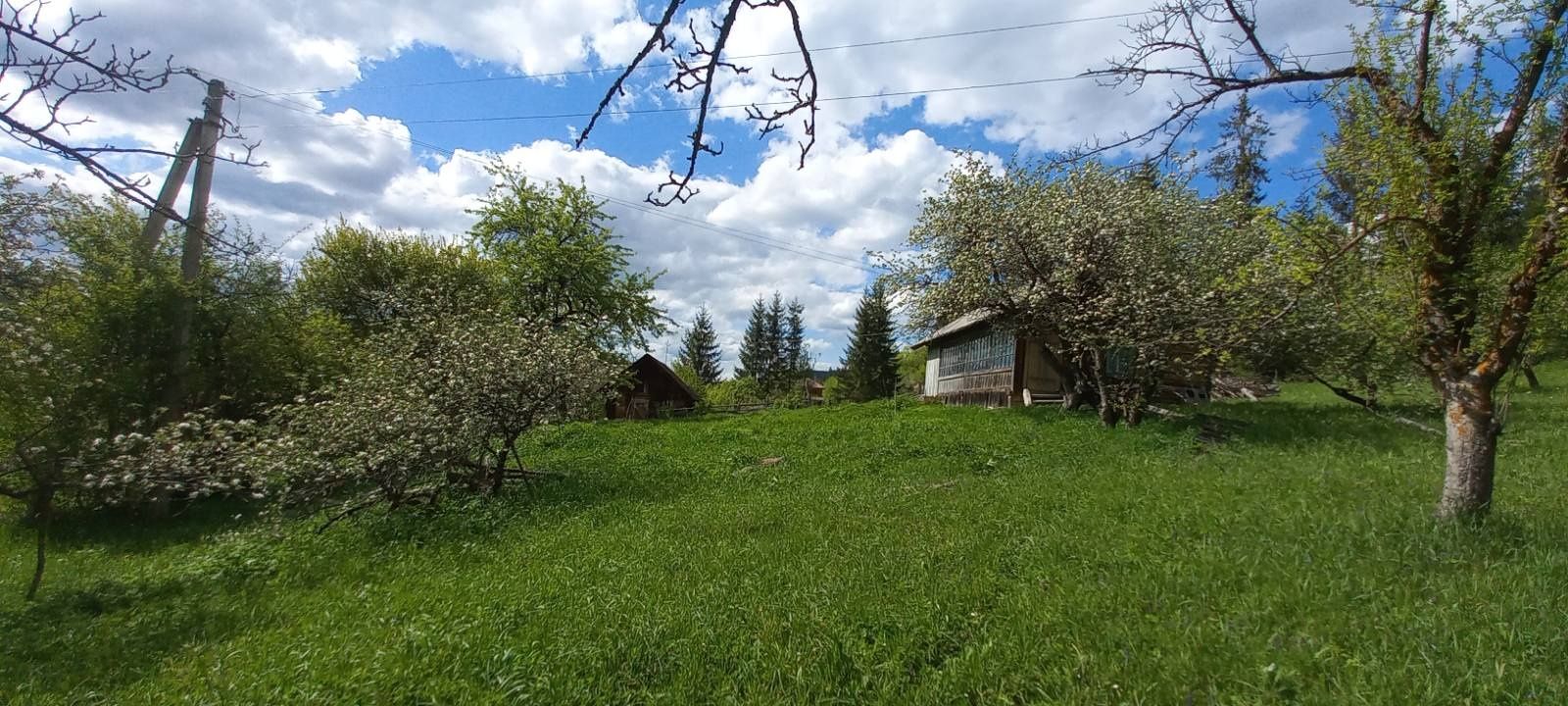 Будинок і земля в Карпатах, гори, ліс, струмок