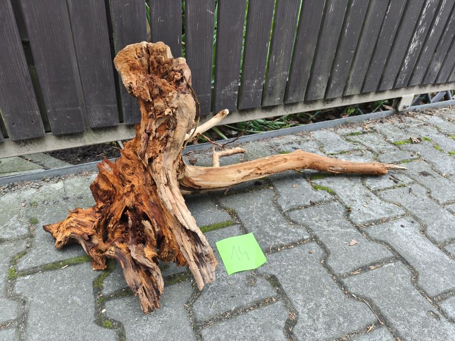 Korzeń nr 14 do akwarium