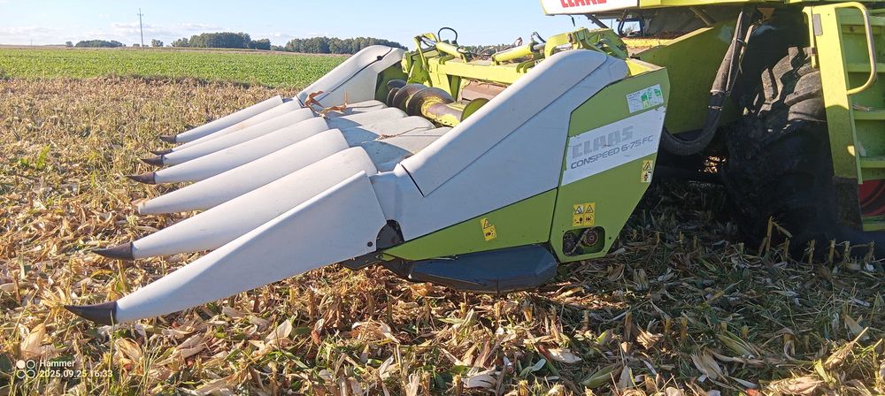 Przystawka do kukurydzy Fantini Claas Conspeed