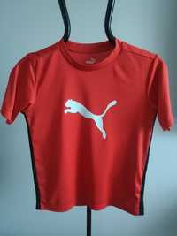 świetny nowy sportowy t-shirt PUMA drycell