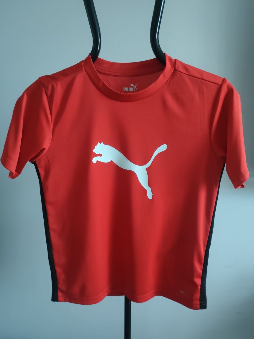 świetny nowy sportowy t-shirt PUMA drycell