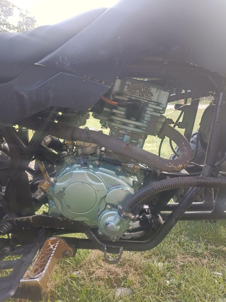 Sprzedam Bashan 250