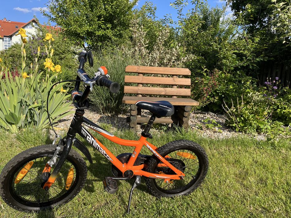 Rower dziecięcy Giant Animator 16