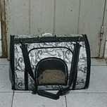 Transportador para gatos e ou cães pequenos em muito bom estado