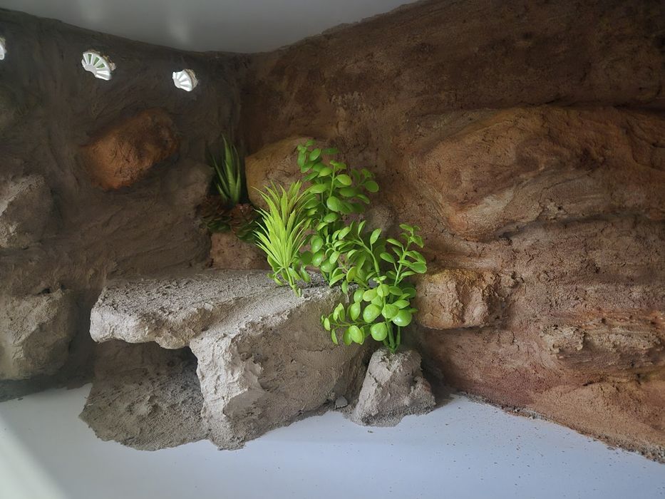 Nowe Gotowe Terrarium 80x40x40