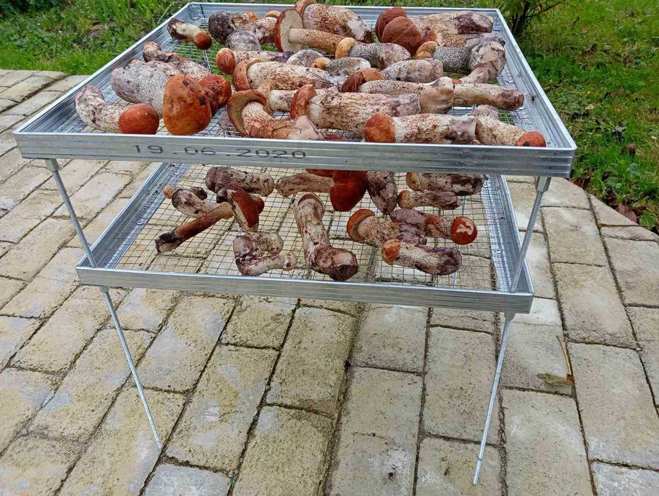 нова сушка,сушилка для сухоруктів та грибів...