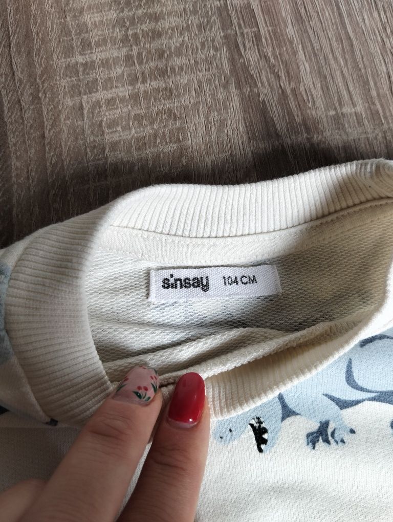 Dres chłopięcy dinozaury 98