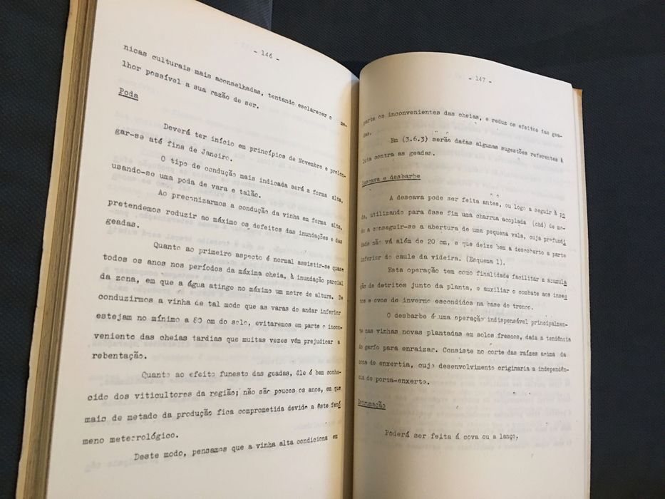 A Viticultura da Região da Bairrada (1965)